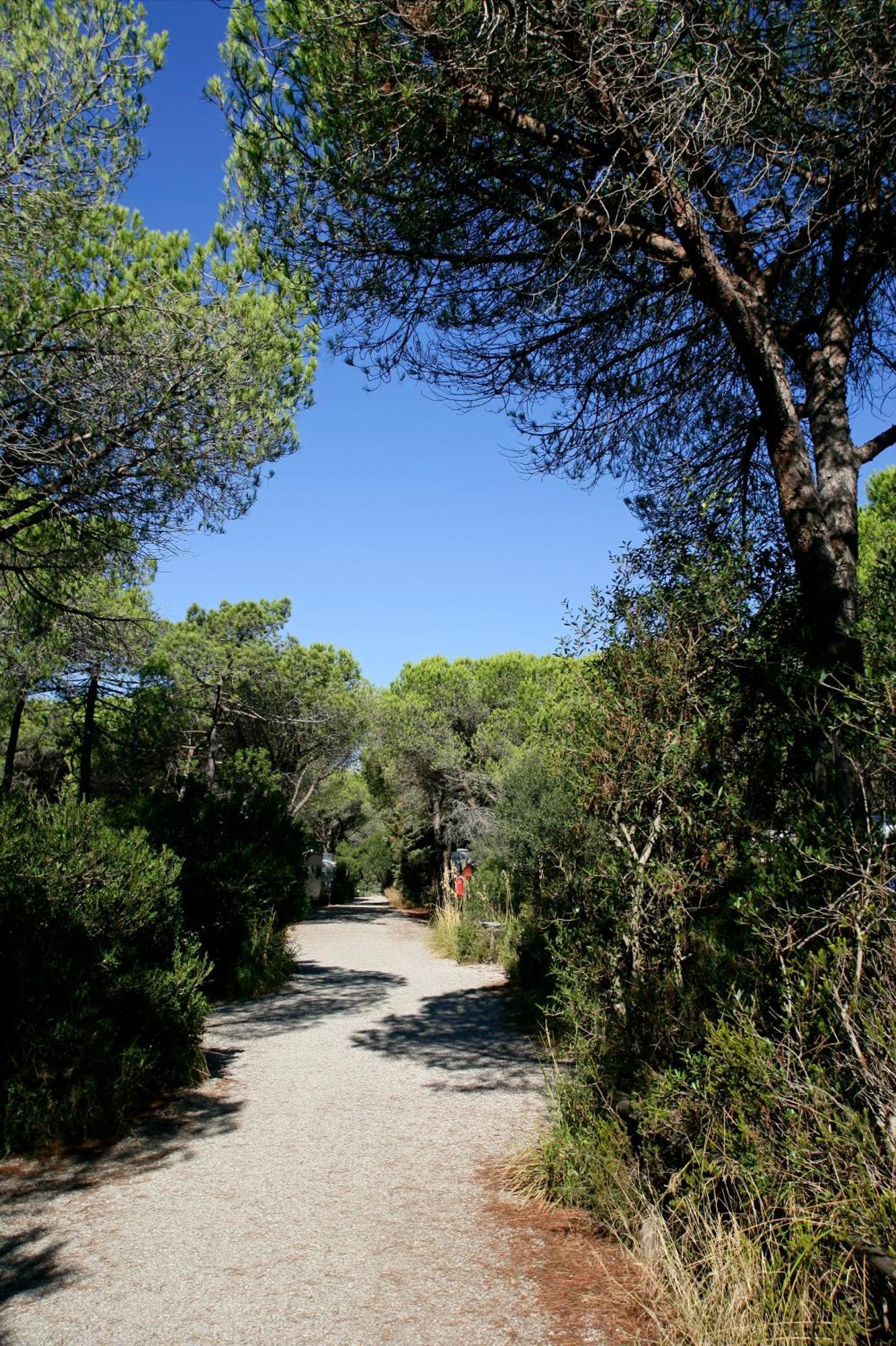 Camping Maremma Sans Souci Castiglione della Pescaia Exterior foto